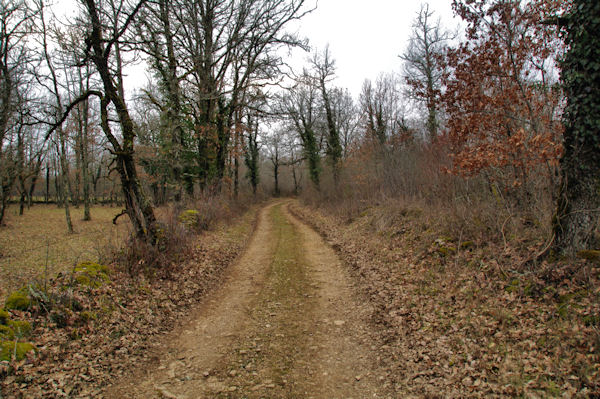 Le chemin vers Bousigue