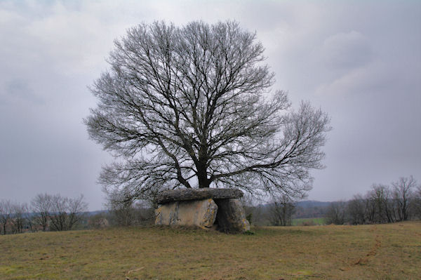 Un dolmen vers Mas de Coti
