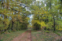 Le chemin vers Mas de Garrade