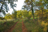 Le chemin au Cloup Barbi