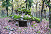 Le Dolmen du Bois des Escures