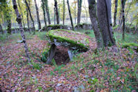 Le Dolmen de la Combe de Pary