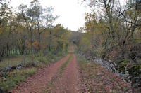 Le chemin dans la Combe de Pary