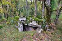 Le Dolmen de Dirau