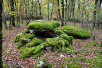 Le Dolmen des Vayssires