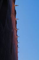 Les gargouilles de la Cathdrale Sainte Ccile  Albi