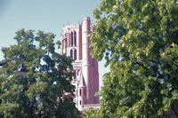 La Cathedrale Sainte Cecile a Albi