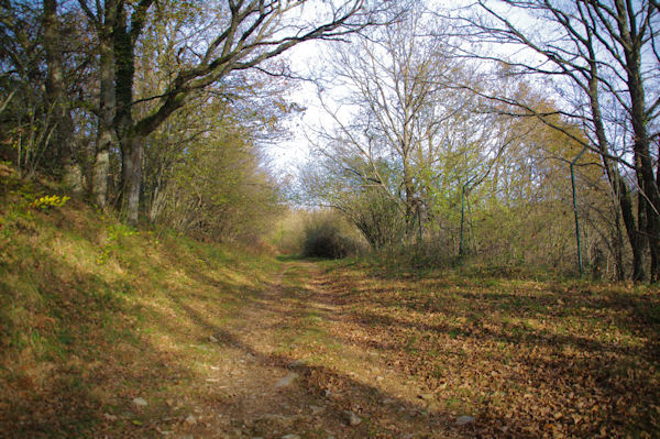 Vers le Moulin Haut