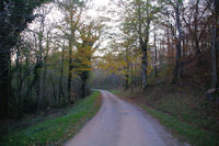 Dans le vallon du ruisseau de Rieu Grand