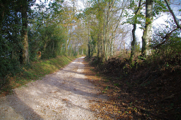 Le chemin peu avant Pierron