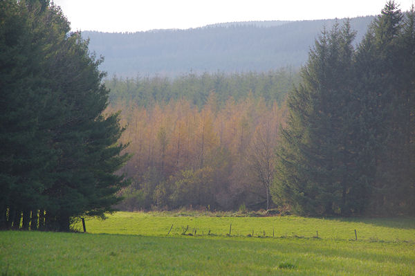 La Plaine de Roquefort