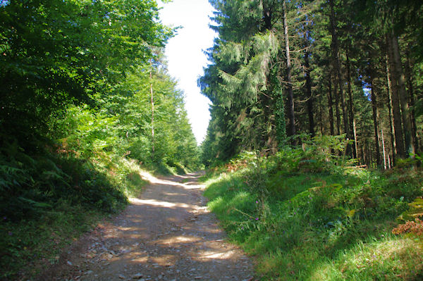 Au dessus du Bois de la Boulbbe