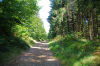 Au dessus du Bois de la Boulbebe