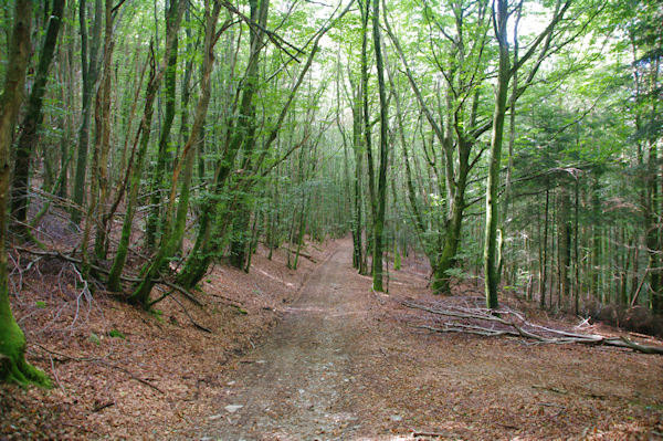 Le sentier pedestre de l_Autan