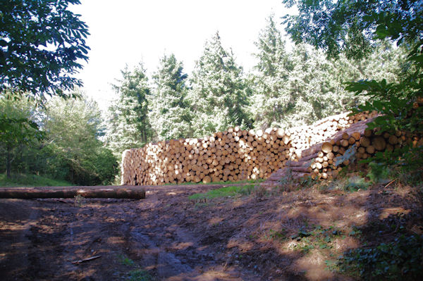 Jolies piles de bois au Caussarel