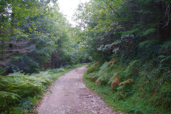 Le chemin au dessus de la carrire des Trois Fontaines