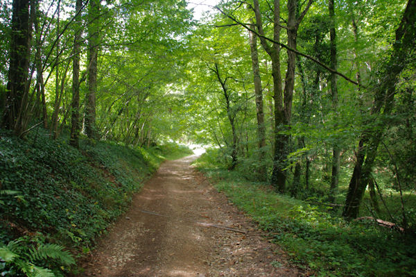 Le chemin au dessus de la carrire des Trois Fontaines