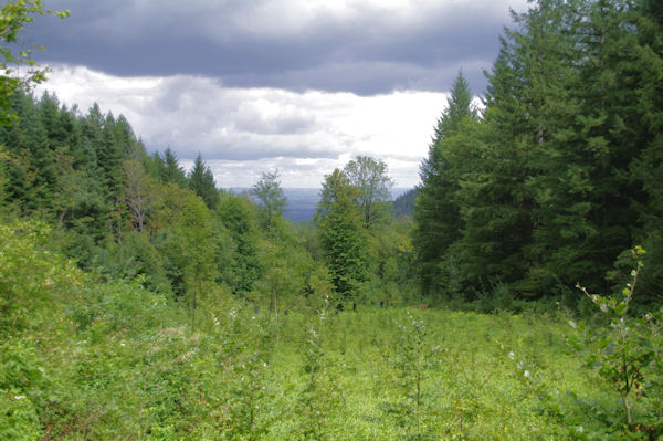 Une petite trou dans le Bois de St Amancet pour voir la valle de Castres