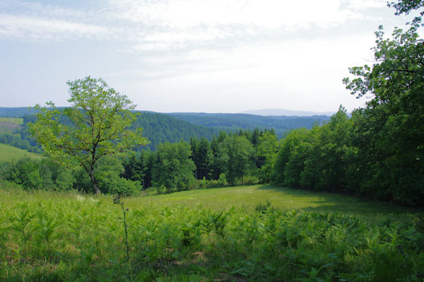 En sortant du bois, vers La Borie