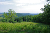 En sortant du bois, vers La Borie