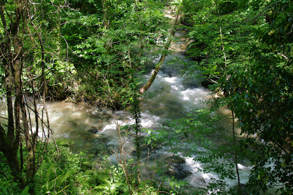 Le confluent de la Durencuse et du Rivaillou