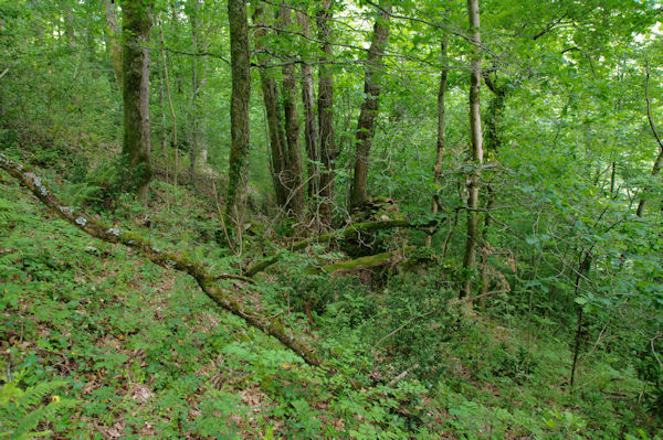 Perdu dans les pentes du Pech Agut