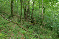 Perdu dans les pentes du Pech Agut