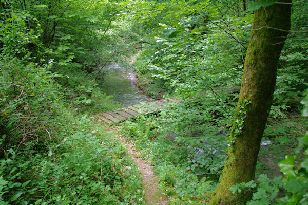 Une passerelle sur la Durencuse sous Les Roques