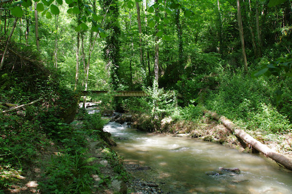 Premire passerelle sur la Duencuse