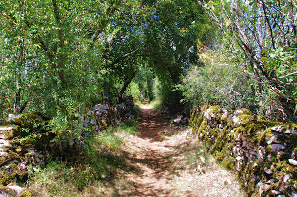 Le GR46 vers Les Boulbnes