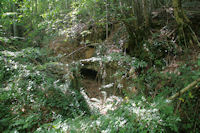 Une petite grotte au bord du chemin  la Combe d_Arnaud