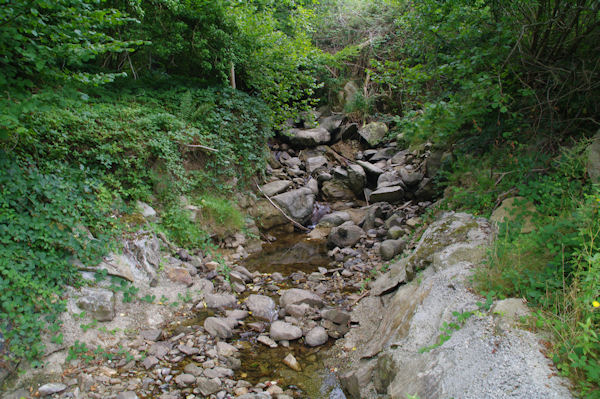 Un petit ruisseau sans nom