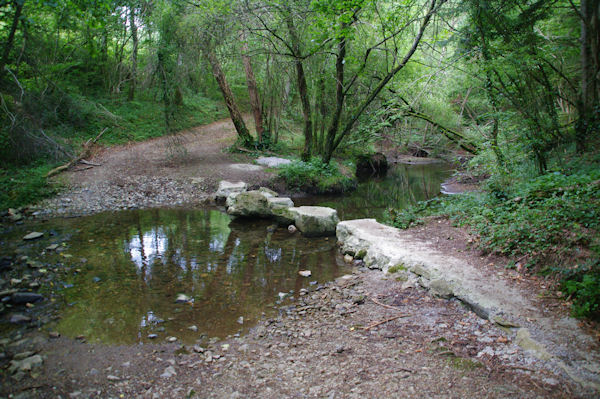 Le ruisseau de Sourette