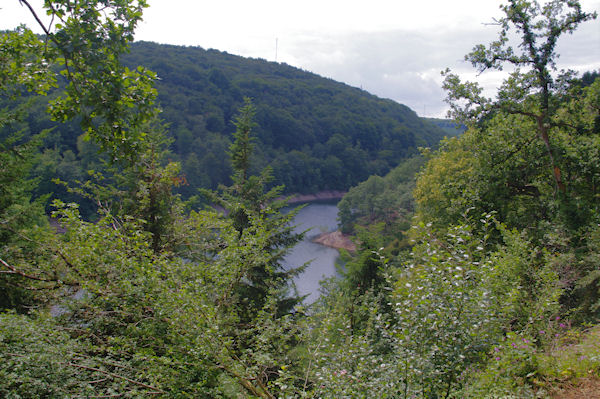 Le Lac des Cammazes depuis la fort de Crabemorte