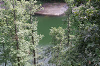 Les eaux vertes du Lac des Cammazes depuis la fort de Crabemorte