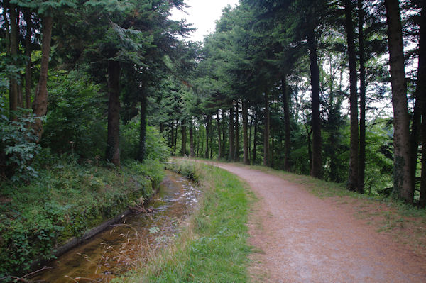 La Rigole de la Montagne Noire vers En Bosc