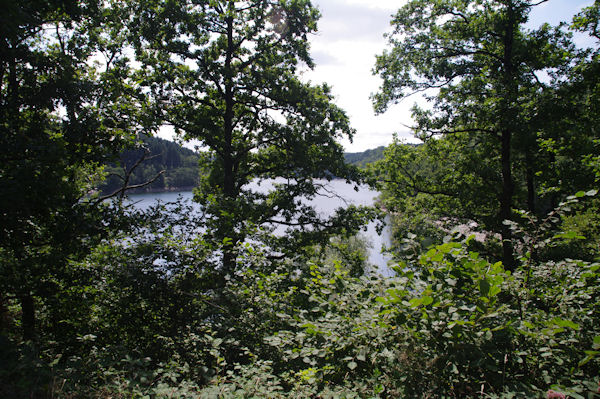 Le Lac des Cammazes depuis l_extrmit Ouest