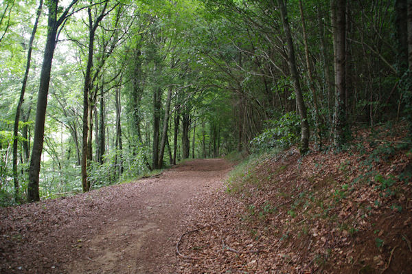 Le chemin  la Combe d_Arnaud