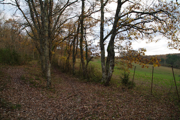 Le GR46 au dessus de Lintin