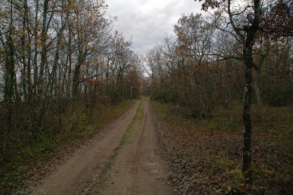 Le GR46 au dessus de Combe Brail