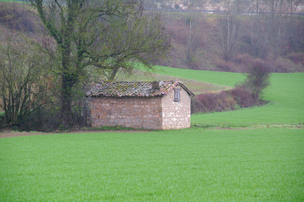 Dans le vallon du ruisseau de St Andr