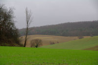 Un tour  Castelnau de Montmiral