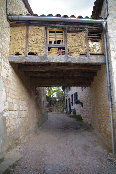 Dans Cestayrols
