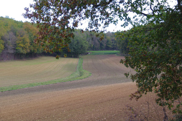 Labours d_automne dans la valle du ruisseau de la Rauze