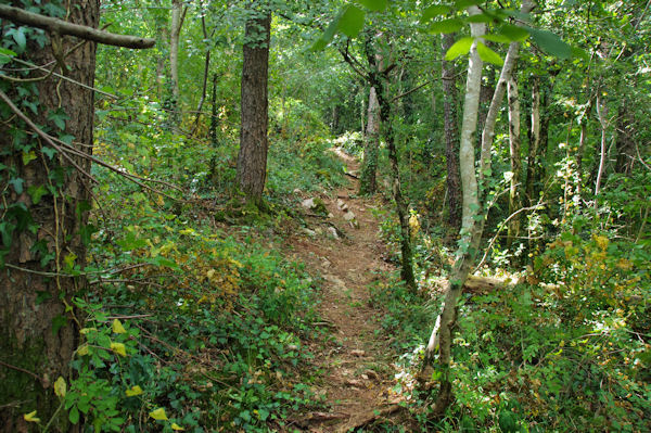 Le sentier au dessus de La Pouzaque