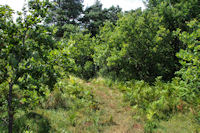 Le depart du sentier de descente vers Massaguel