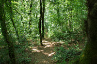 Le sentier de descente vers Massaguel