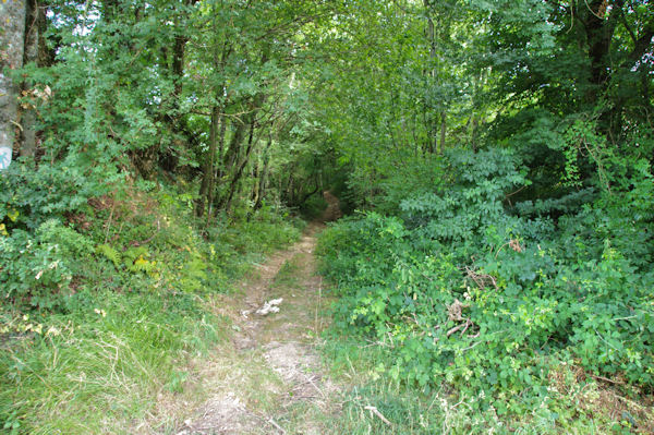 Le dpart du sentier depuis la D60b