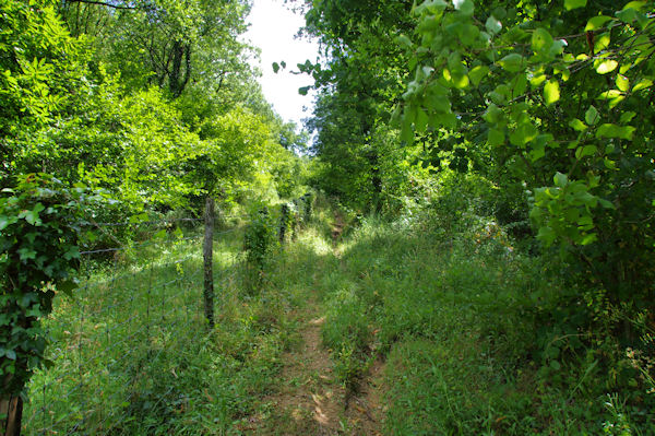 Le sentier au dessus de la D60b