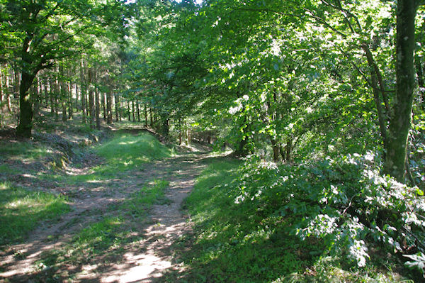 Le chemin vers le Cayrol